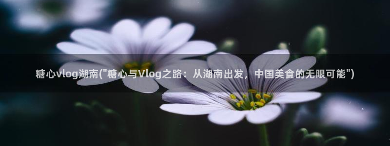 糖心vlog原神资源
