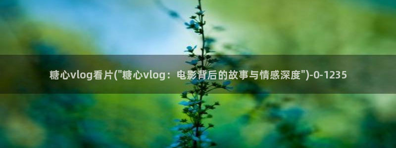 糖心vlog柚子猫甘雨