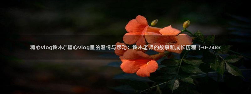 糖心视频vlog首页