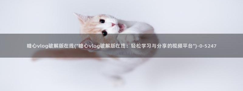 糖心vlog网站下载