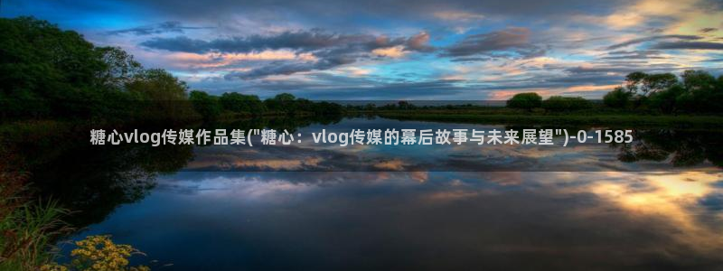 糖心VLOG小桃大片