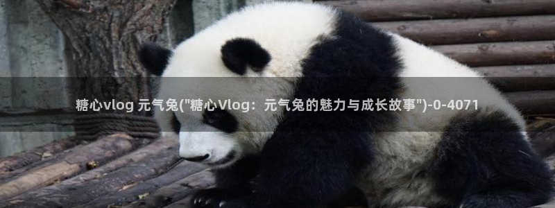 糖心vlog老版下载