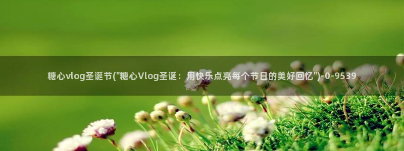 糖心小桃vlog资源