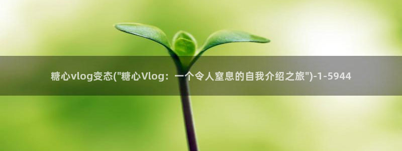 糖心vlog网站免费