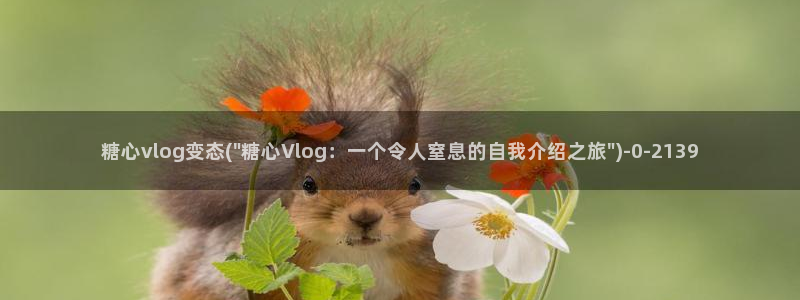 糖心vlog葫芦