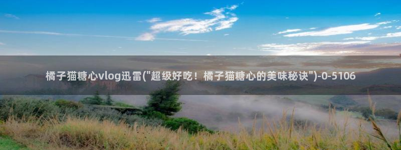 糖心vlog橘猫视频