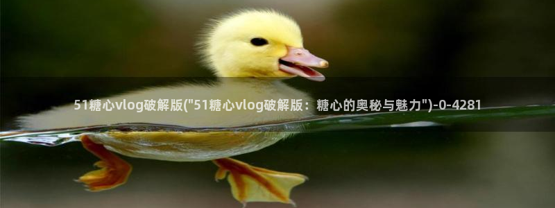  糖心入口vlog：51糖心vlog破解版(\