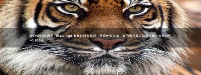  糖心vlog向然：糖心vlog在哪下(\