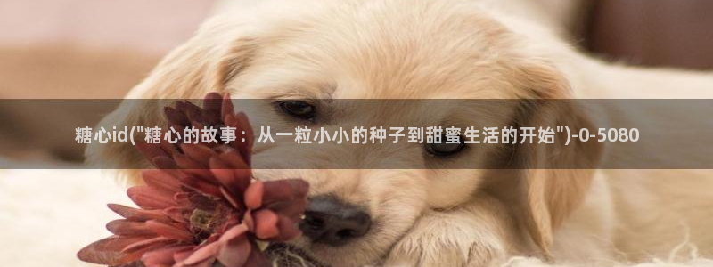 糖心vlog最新地址