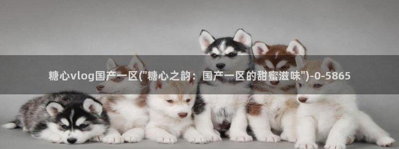 糖心vlog软件