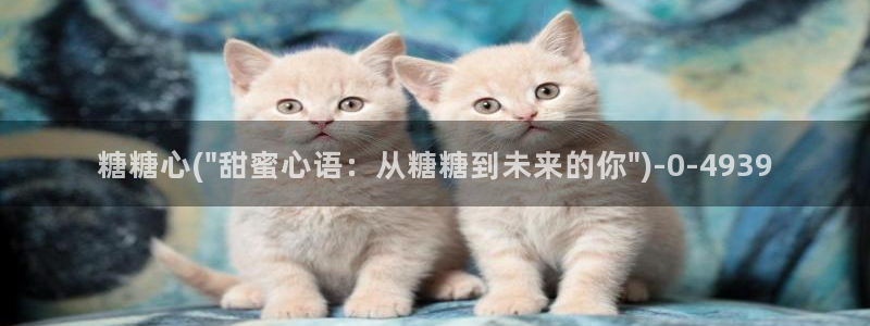糖心vlog 免费观看完整版