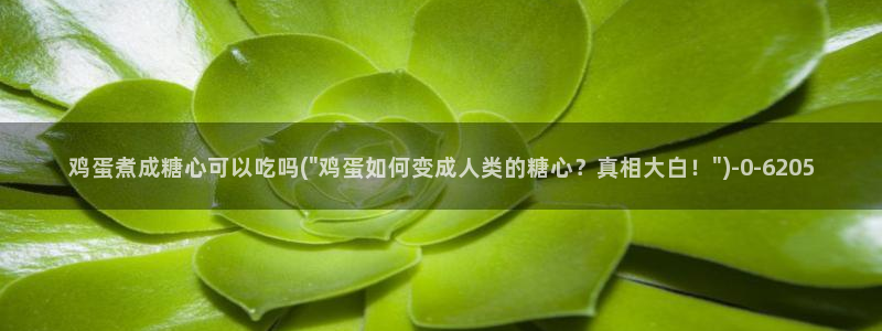 糖心vlog在线观看