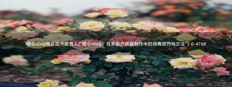 糖心vlog黄色网站